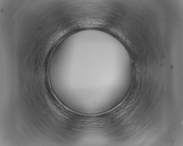 X0000068840631200605050944