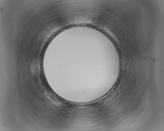 X0000068840632200605050944