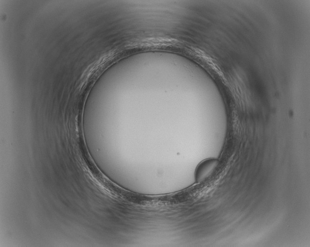 X0000068840633200605050944