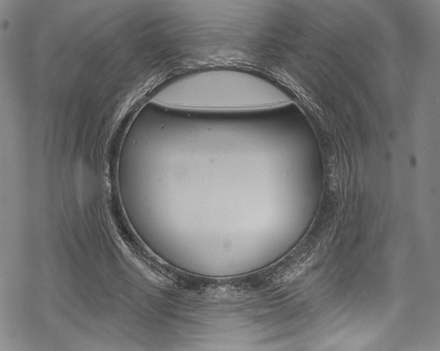 X0000068840634200605050944