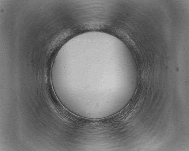 X0000068840635200605050944