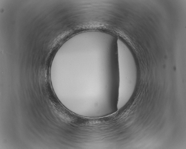 X0000068840636200605050944