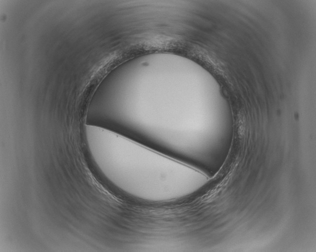 X0000068840637200605050944