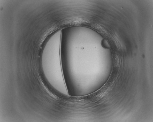 X0000068840638200605050944