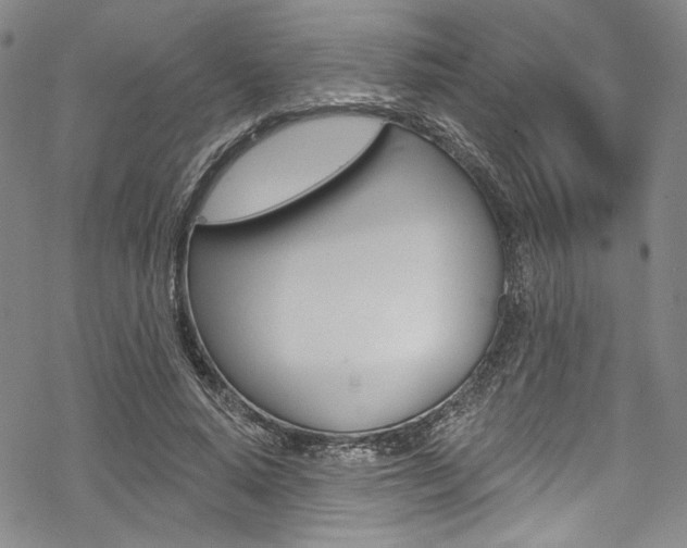 X0000068840640200605050944