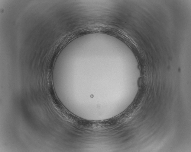 X0000068840641200605050944