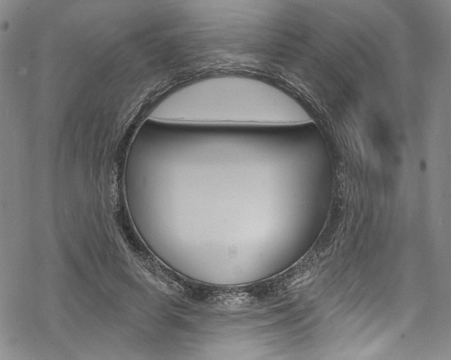 X0000068840642200605050944