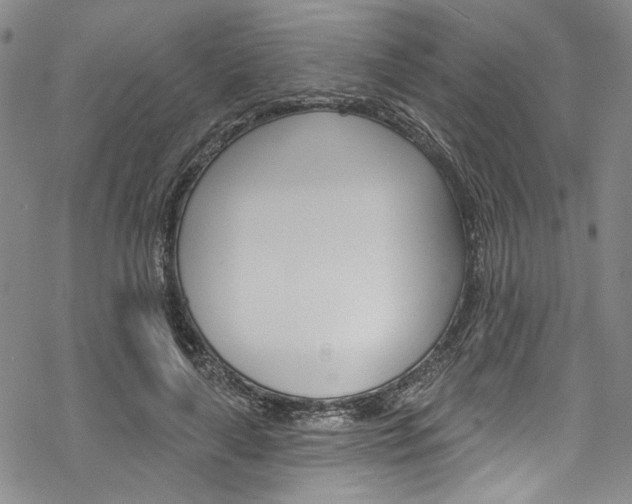 X0000068840643200605050944