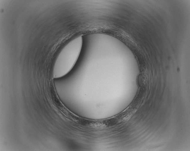 X0000068840644200605050944