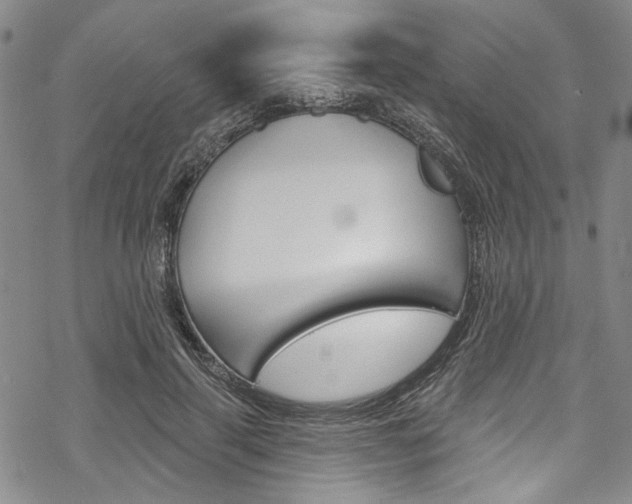 X0000068840645200605050944