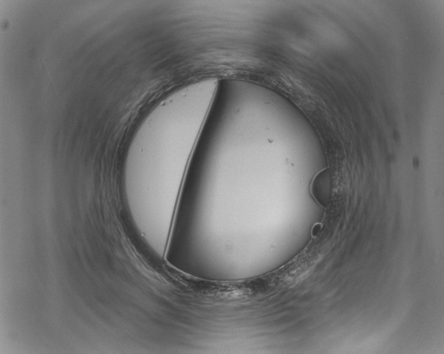 X0000068840646200605050945