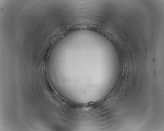 X0000068840647200605050945