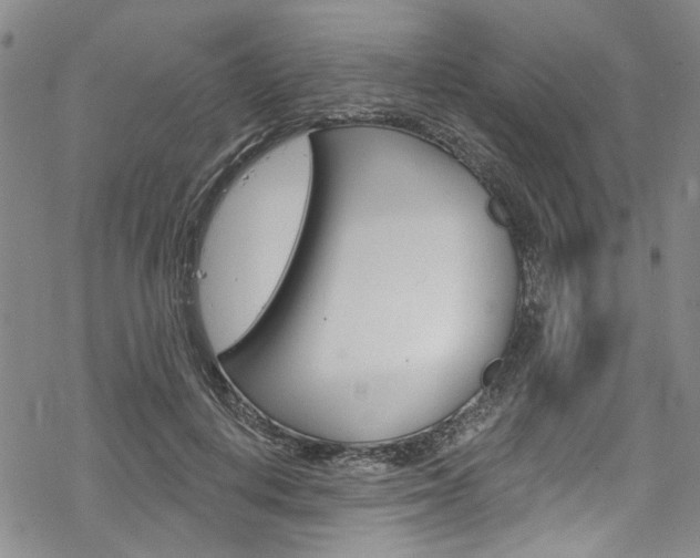 X0000068840648200605050945