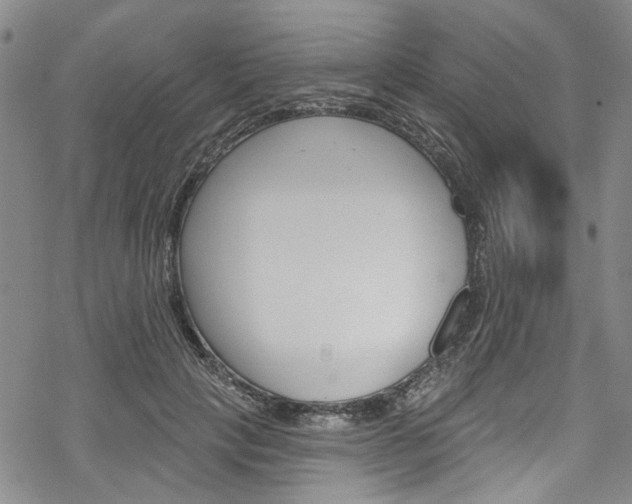 X0000068840649200605050945