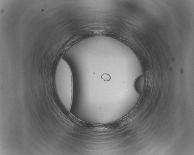 X0000068840650200605050945