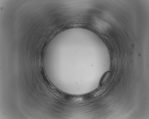 X0000068840651200605050945