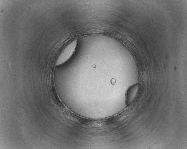 X0000068840652200605050945