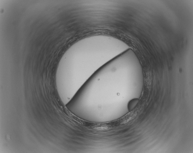 X0000068840653200605050945