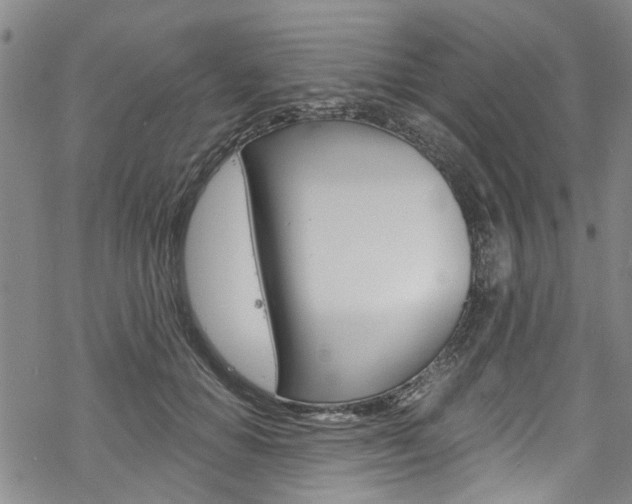 X0000068840654200605050945