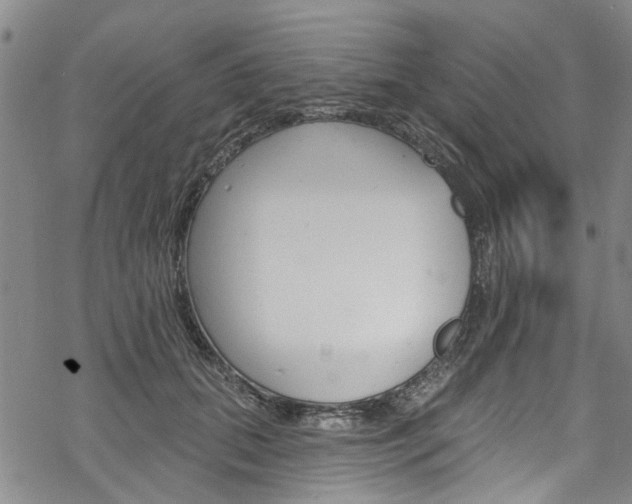 X0000068840655200605050945