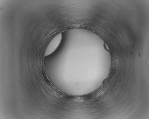 X0000068840656200605050945