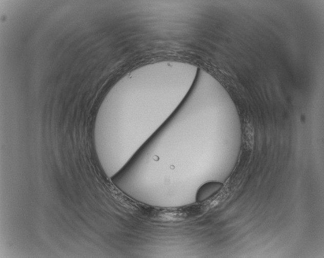 X0000068840657200605050945