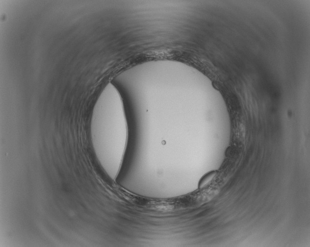 X0000068840658200605050945