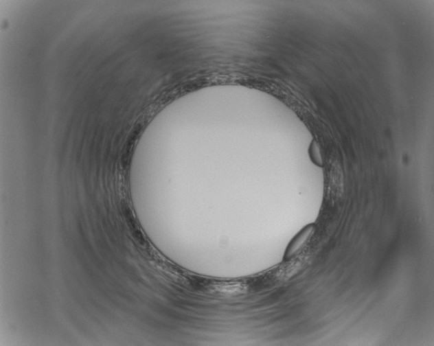 X0000068840659200605050945