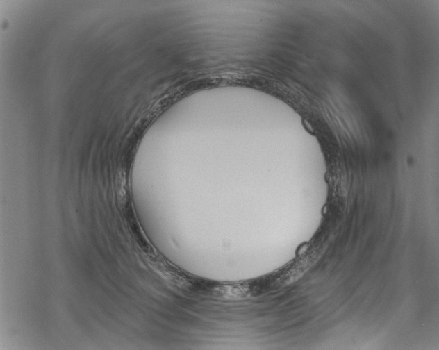 X0000068840660200605050945