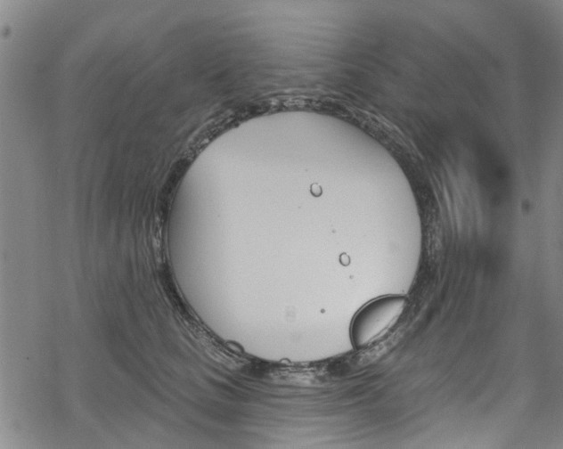 X0000068840661200605050945