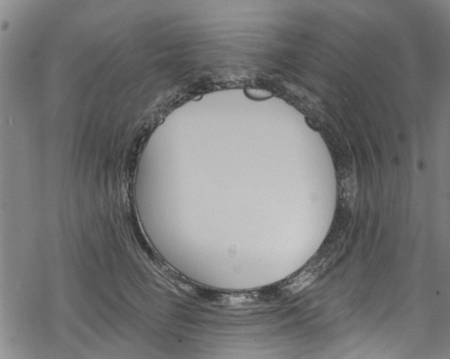 X0000068840662200605050945