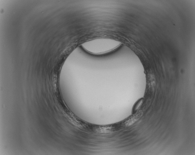 X0000068840664200605050945