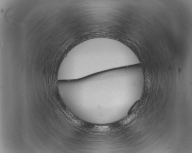 X0000068840665200605050945