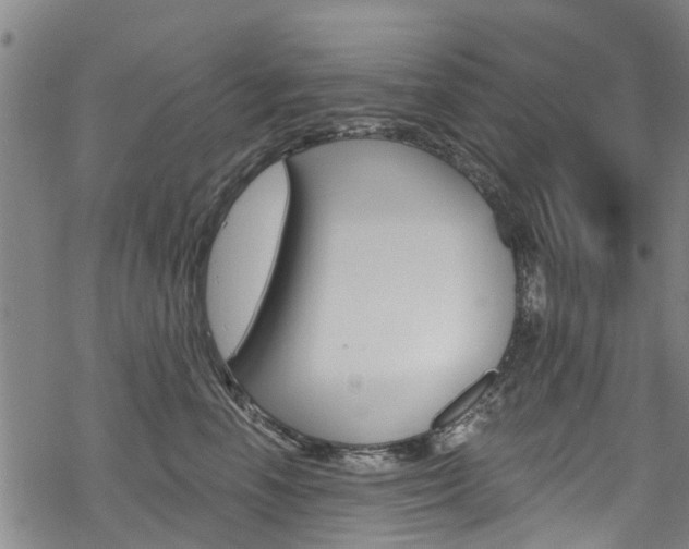 X0000068840666200605050945