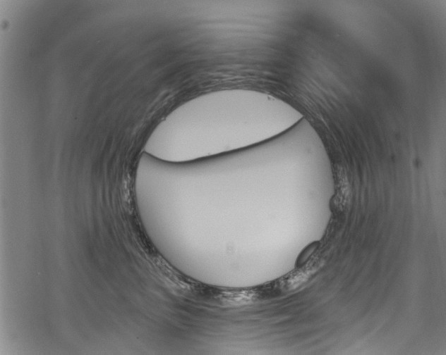 X0000068840667200605050945