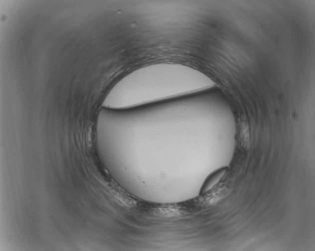 X0000068840668200605050945