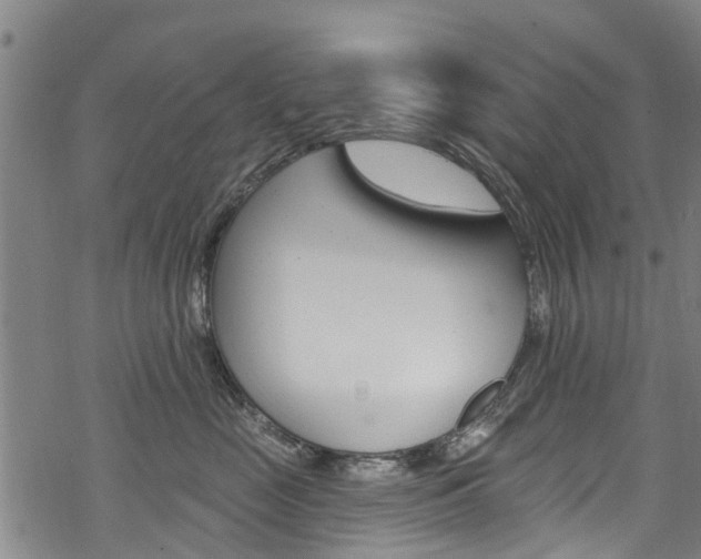 X0000068840669200605050945