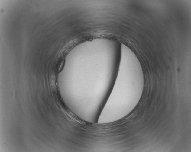 X0000068840670200605050945