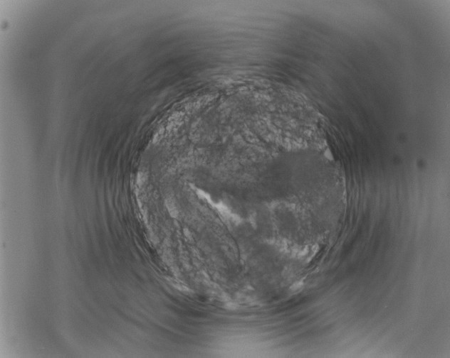 X0000068840671200605050945