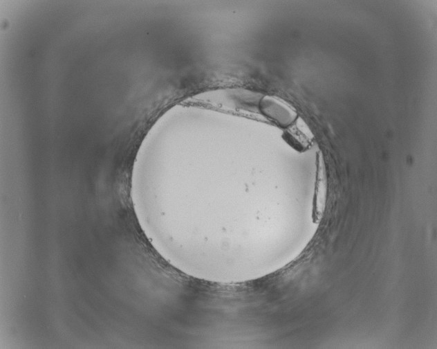 X0000068840672200605050945