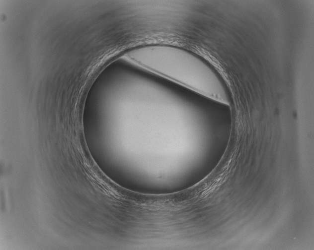 X0000068840673200605050944