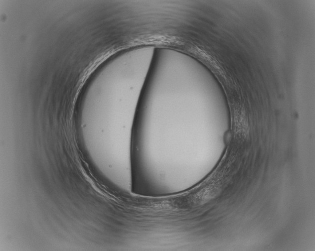 X0000068840674200605050944