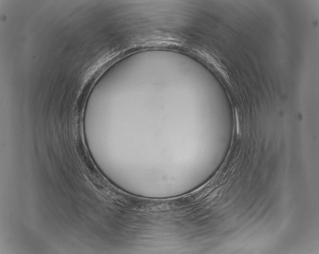 X0000068840675200605050944