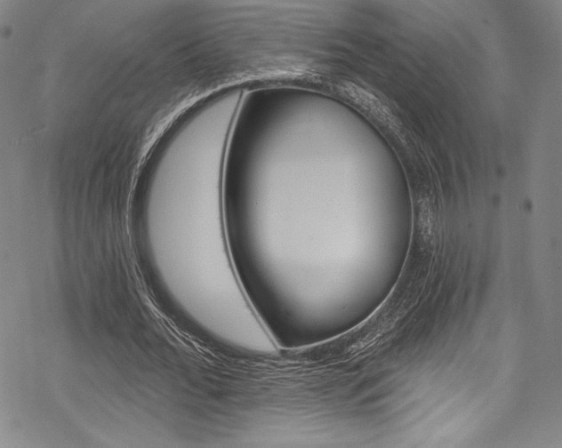 X0000068840676200605050944