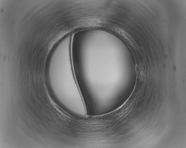 X0000068840677200605050944