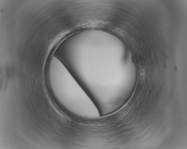 X0000068840678200605050944