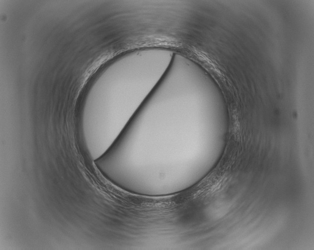 X0000068840679200605050944