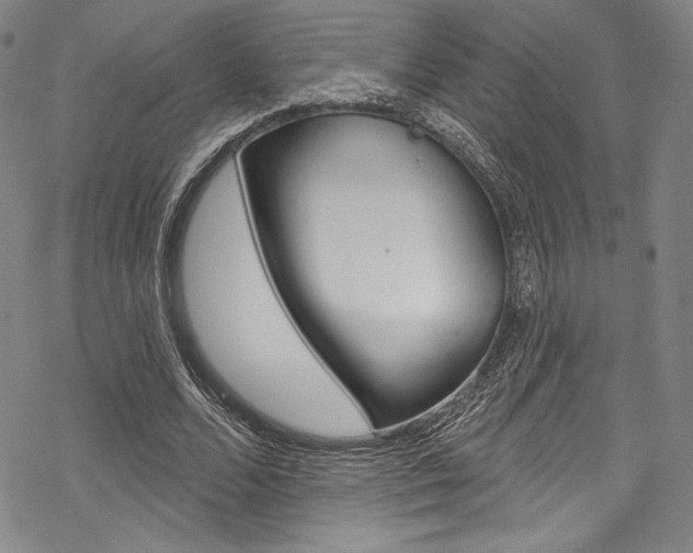 X0000068840680200605050944