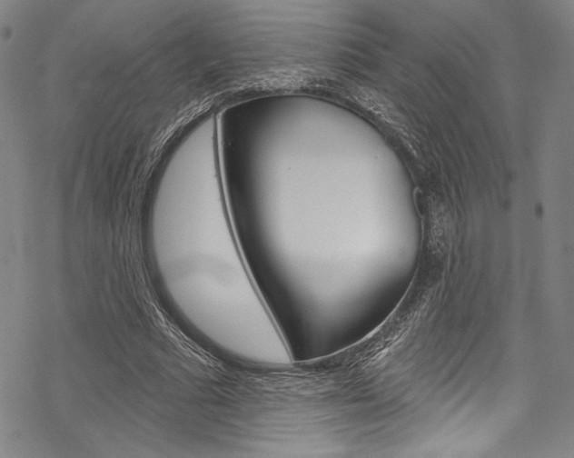 X0000068840681200605050944