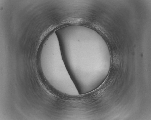 X0000068840682200605050944